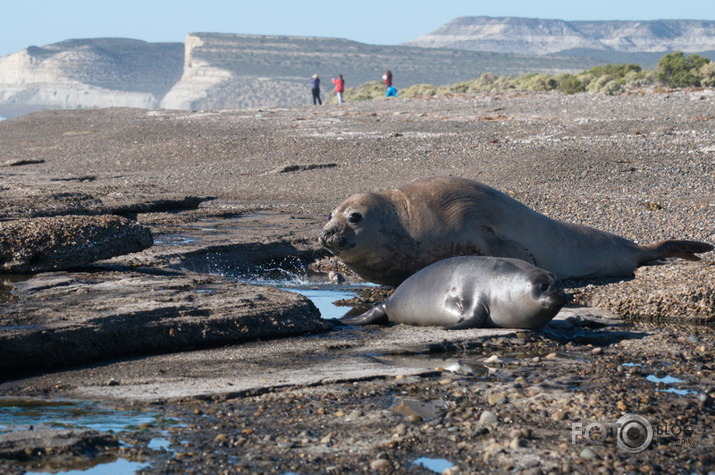 Patagonijā