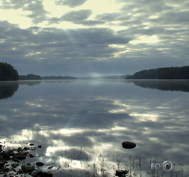 daugava pie kokneses