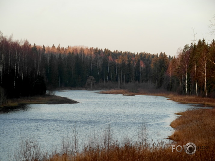 Gauja 25.12.2013.