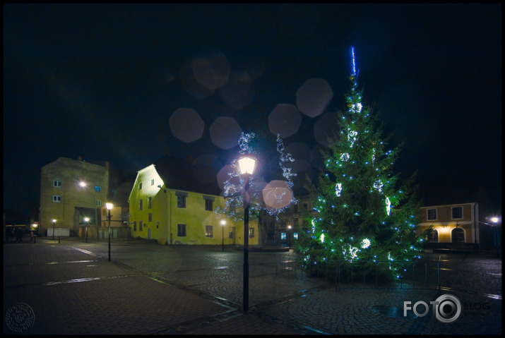 Rožlaukums Cēsīs II.