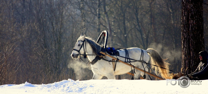 Laimīgu Jauno 2014.gadu!