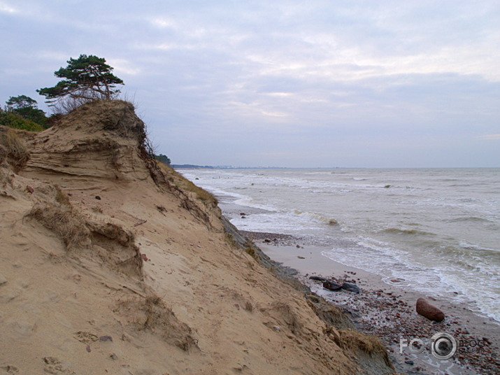 2013/14 gadumija rietumkrastā