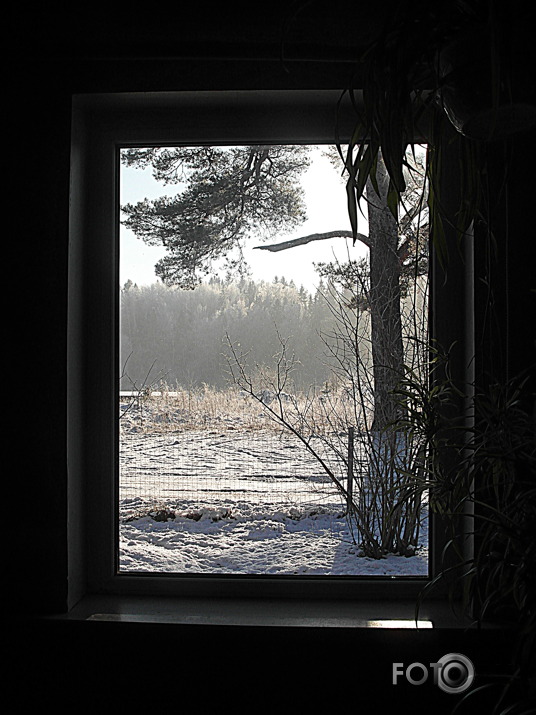 dzīvā glezna, janvāra saulē