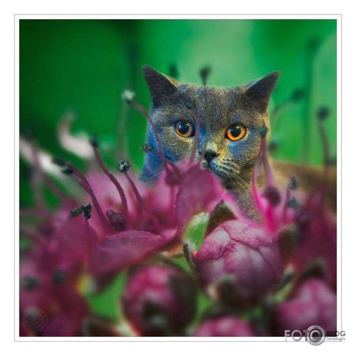 ...būt par puķi...