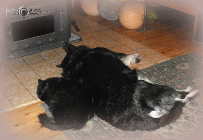 Linards (Linnis) un Ringuna ( Ringa)