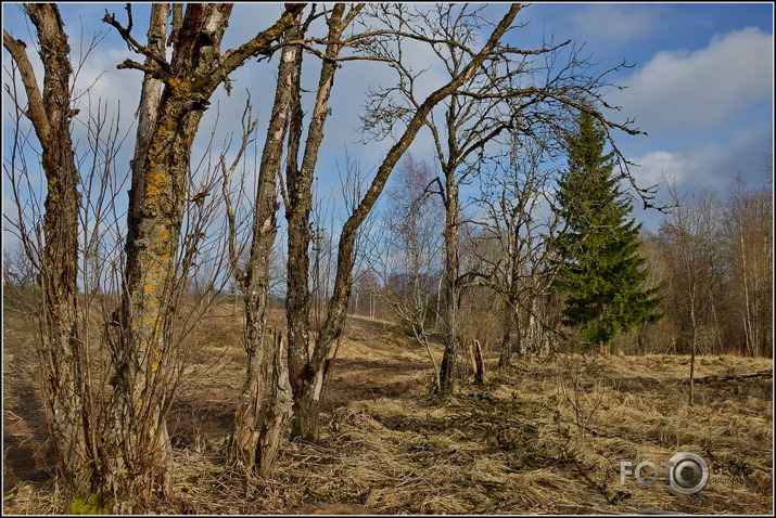 Apkārt Striķu pilskalnam..., 23.02.2014