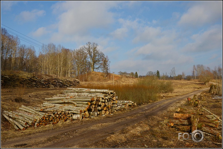 Apkārt Striķu pilskalnam..., 23.02.2014