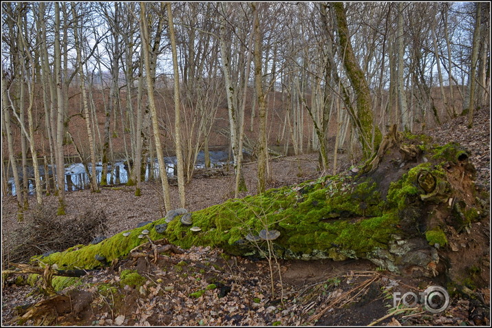 Apkārt Striķu pilskalnam..., 23.02.2014