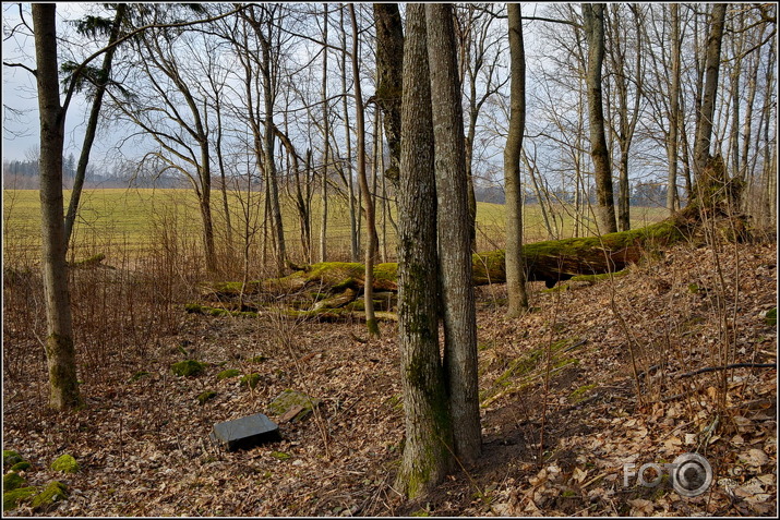 Apkārt Striķu pilskalnam..., 23.02.2014