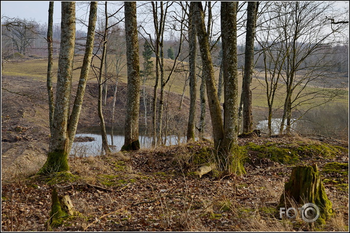 Apkārt Striķu pilskalnam..., 23.02.2014