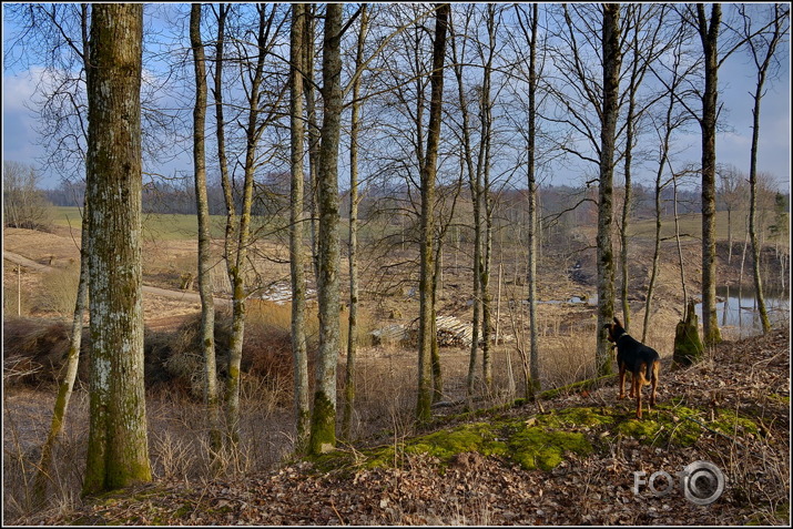 Apkārt Striķu pilskalnam..., 23.02.2014