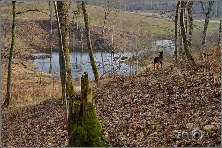 Apkārt Striķu pilskalnam..., 23.02.2014