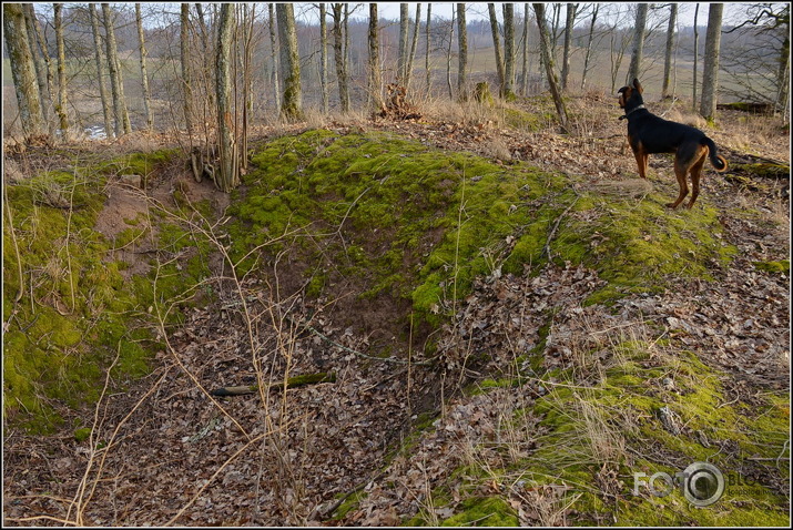 Apkārt Striķu pilskalnam..., 23.02.2014