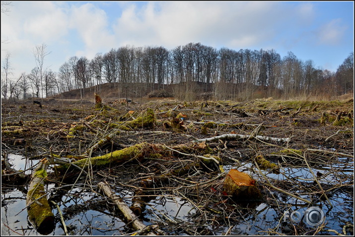 Apkārt Striķu pilskalnam..., 23.02.2014