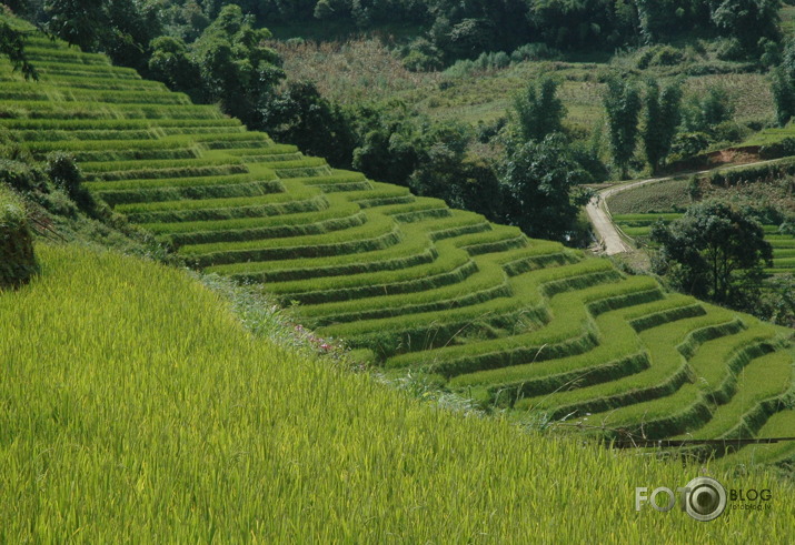 Sapa. Vjetnama