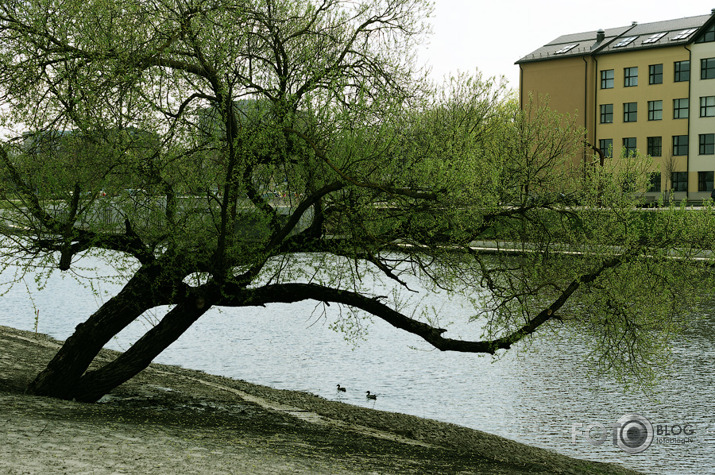 Vasarīgais karstums, bet tikai pavasaris.