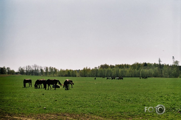 Otrā fotofilma...