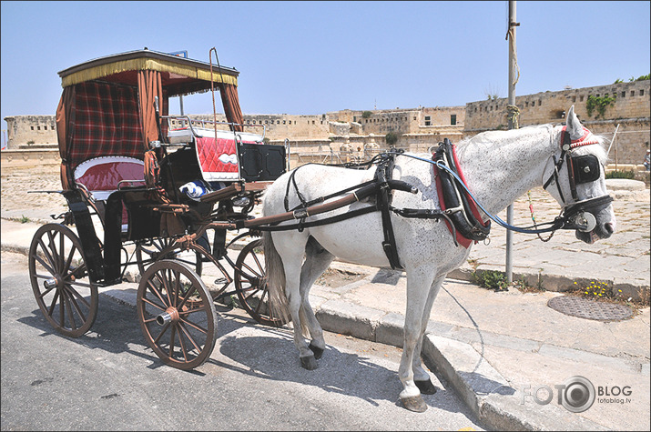 Malta (turpinājums)