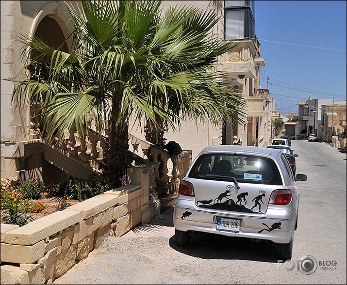 Malta (turpinājums)