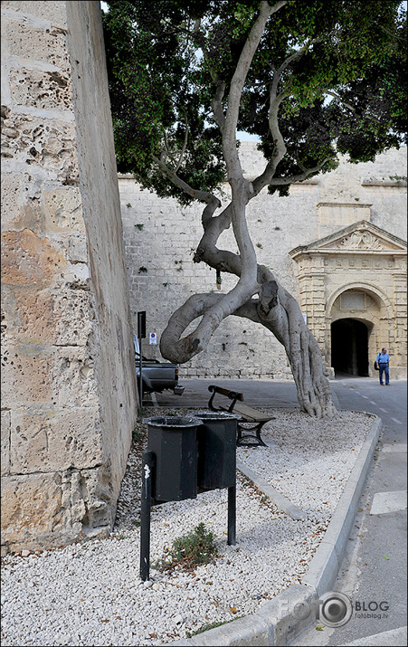 Malta (turpinājums)