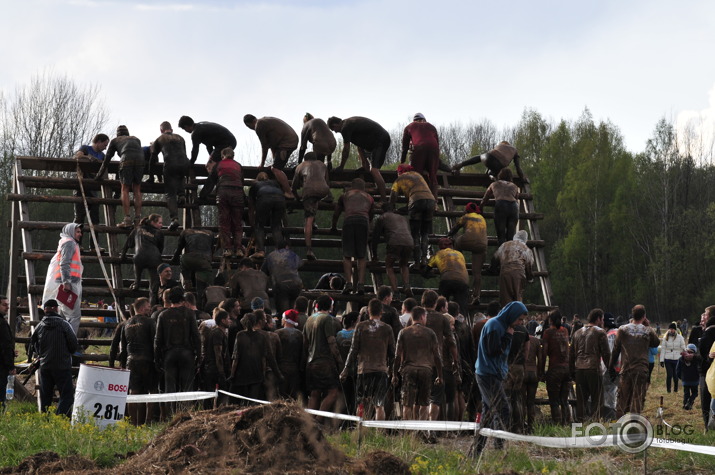 Stipro skrējiens 2014