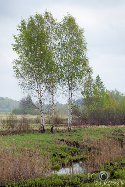 Latvijas ārēs...