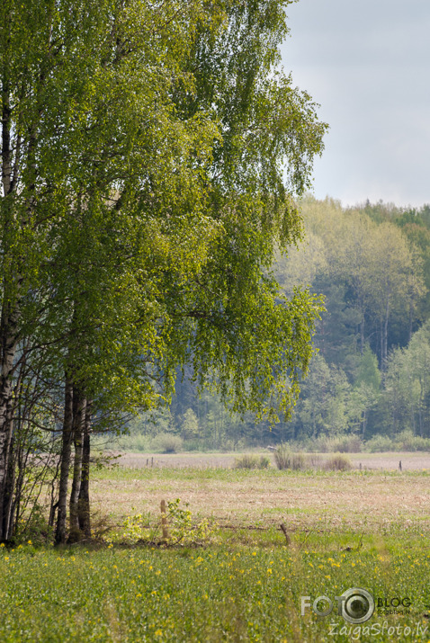 Latvijas ārēs...