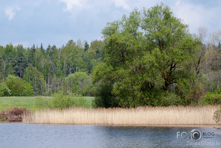 Latvijas ārēs...