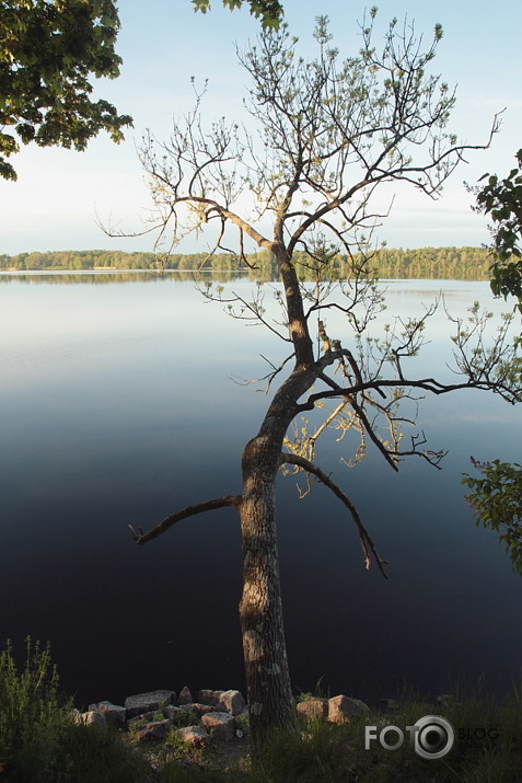 rīts pie Daugavas