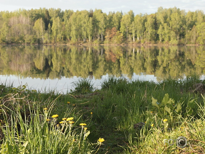 rīts pie Daugavas
