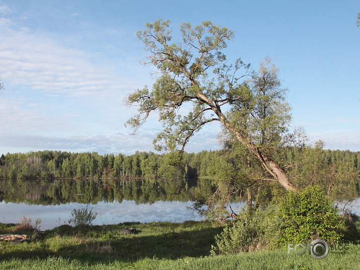 rīts pie Daugavas