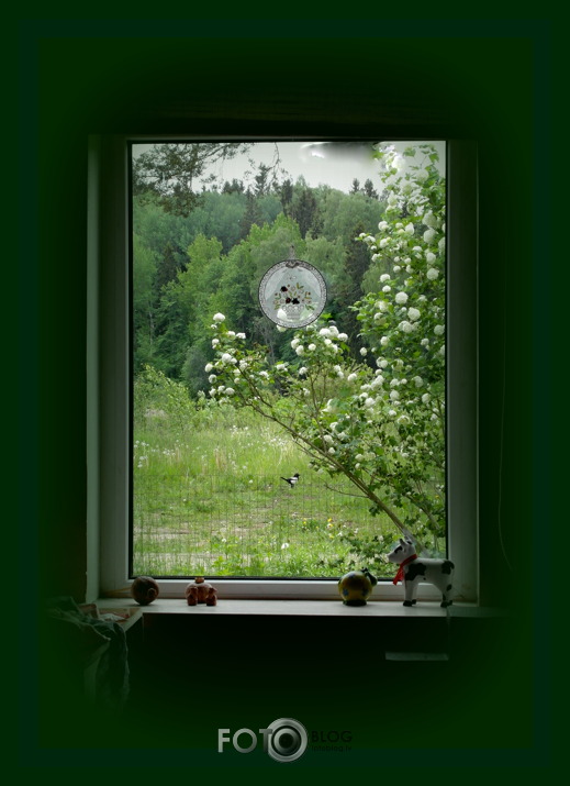 dzīvā glezna -maijs