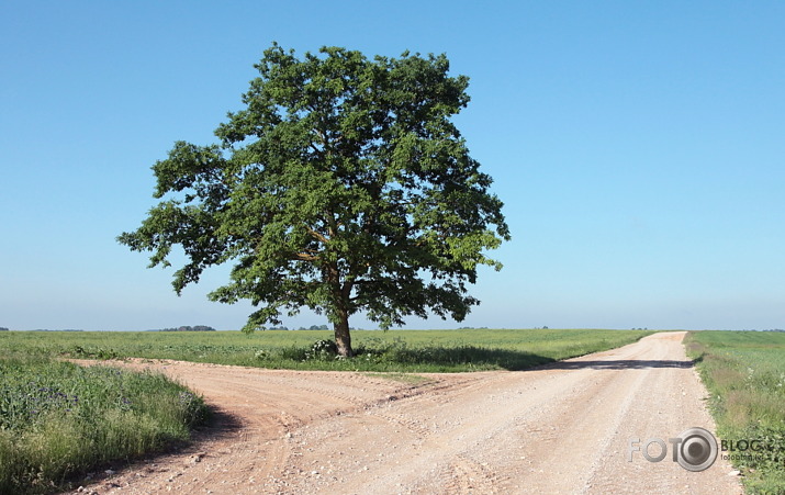 pa ceļam