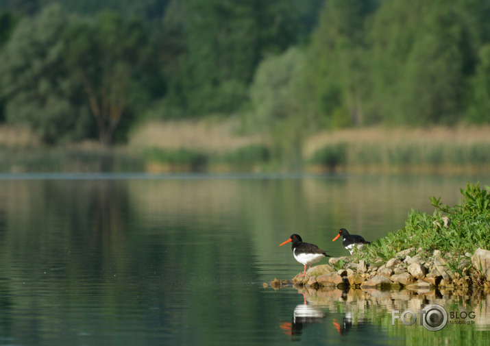 Jūras Žagatas