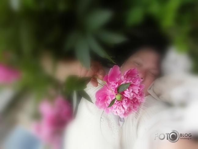 latviete un viņas peonija