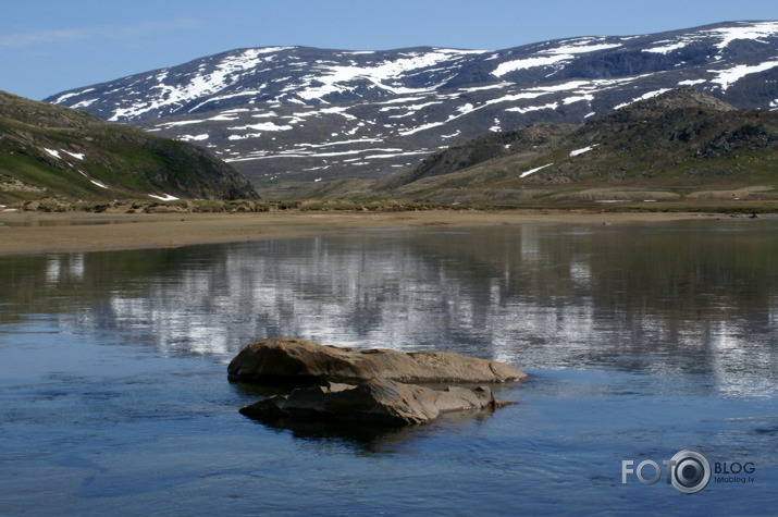 Koroka. Labradora.