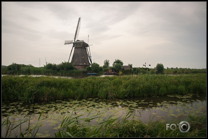 Kinderdijk