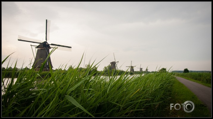 Kinderdijk