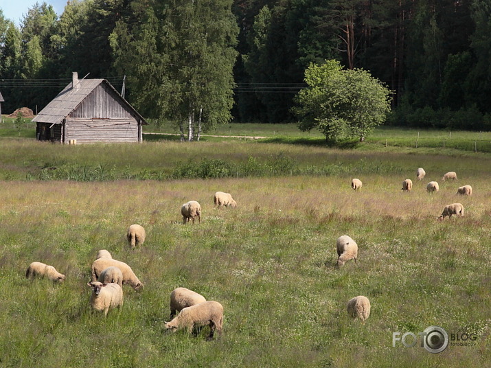 Latgale