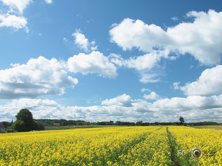 Latgale