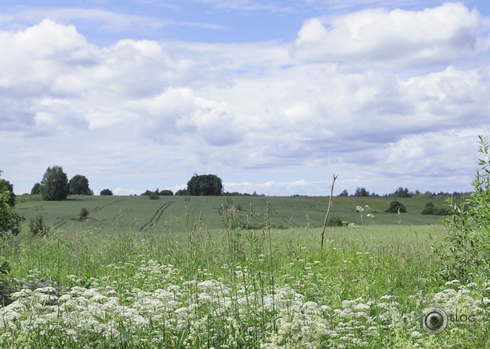 Latgale