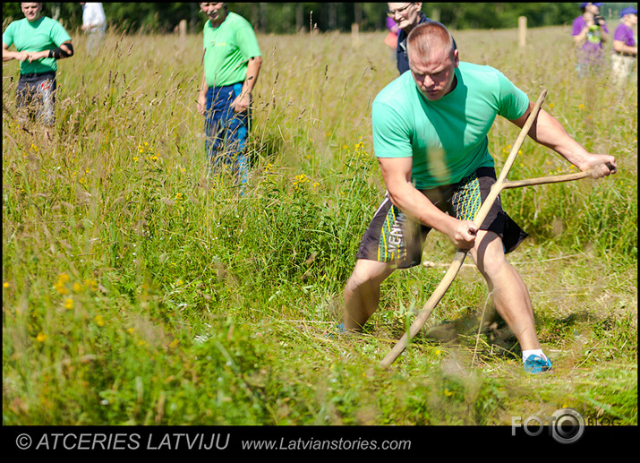 Pļaušanas čempionāts 2014