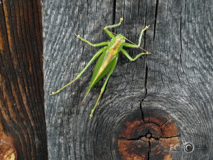 viņš mani gaidīja 8 minūtes