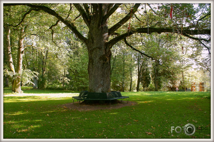 Bīriņi pils parks