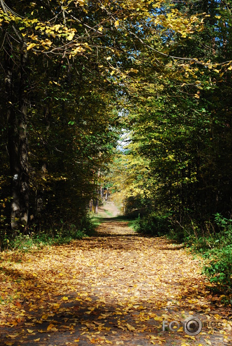 Rudens Smarža