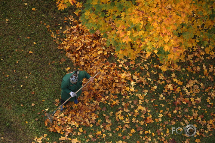 Rudens nozagšana