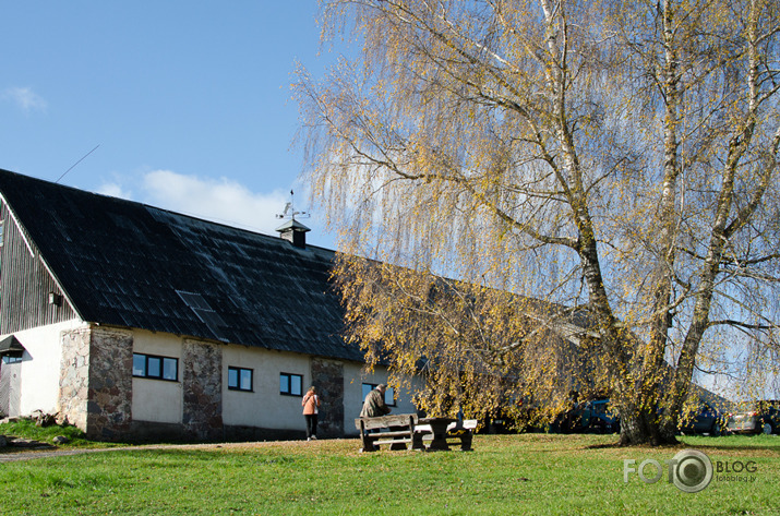 Par z/s Līvi cimperlīgajām kazām, bumbiņām un Raimondu