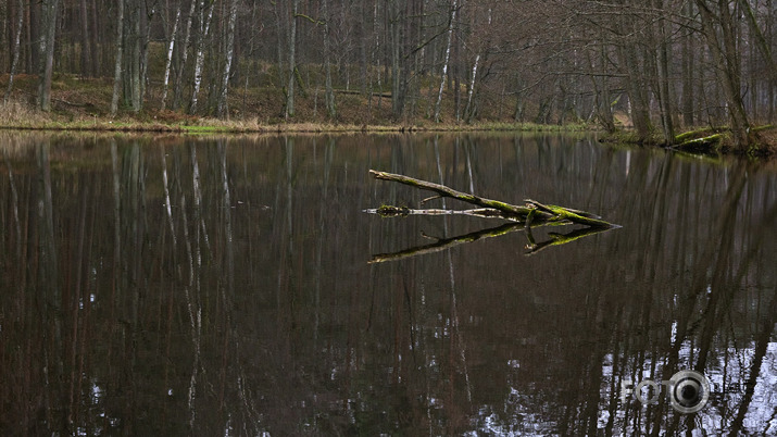 Pēdējās krāsas meklējot Beberbeķu ceros.