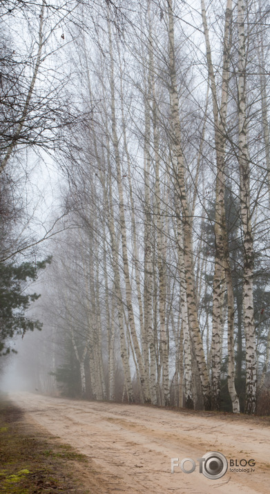 braucot pa veco ceļu uz Kalnciema