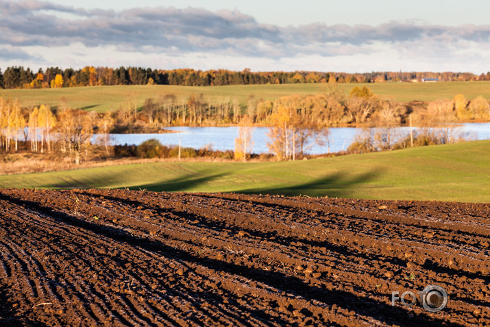 Rudens līnijas